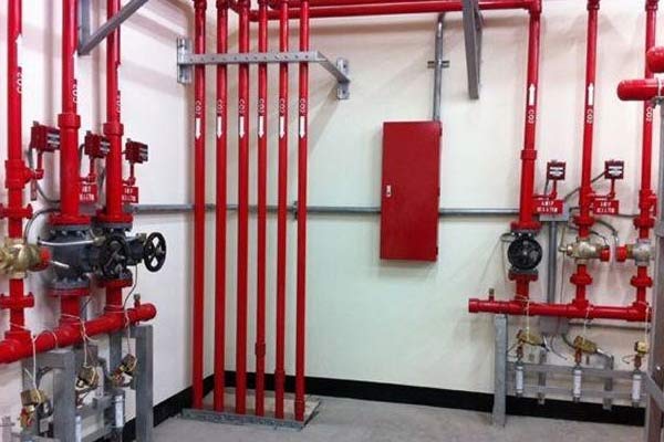 ��ʵ�ж���Щ�����첻��������������