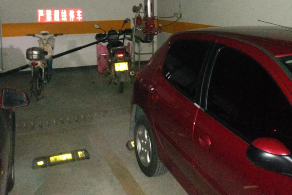 �����������������������