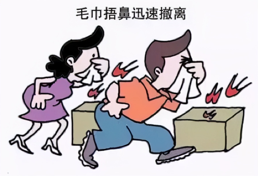 ��������ȫ��֪��������֪ʶС����