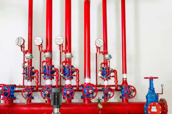 �����������ı�Ҫ��