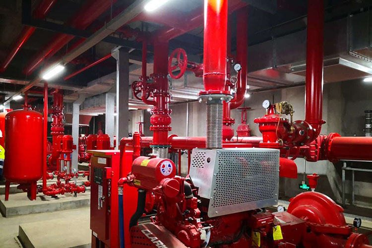 ����������˾Ҫ����Щ���ʣ�