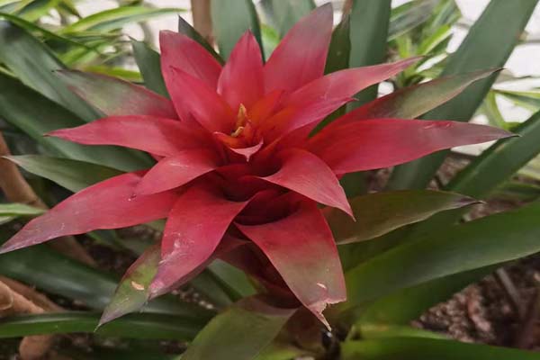 ��������ʩ����֤�ϸ��ƶ�